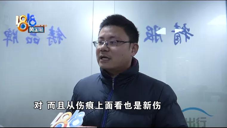 还车发现车被撞了,新能源汽车电池包磕破了能修吗