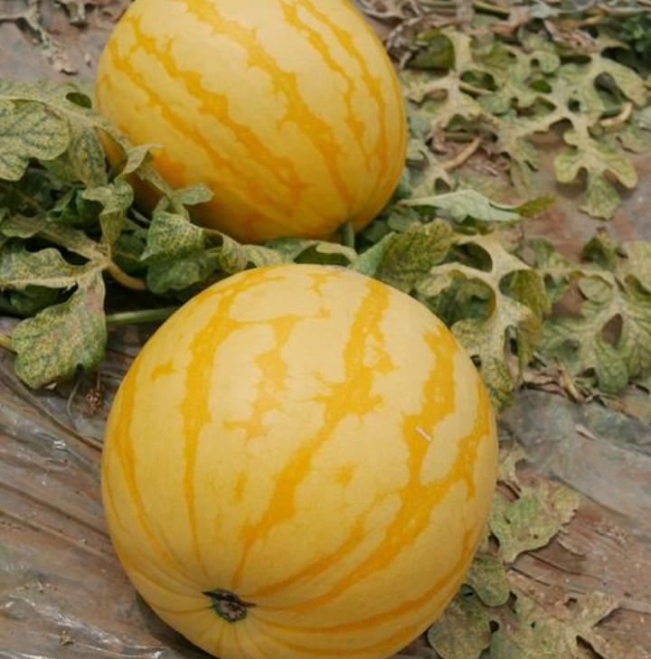 来儿子家养老,大妈想掌管小两口工资,儿子忍无可忍把她送回老家