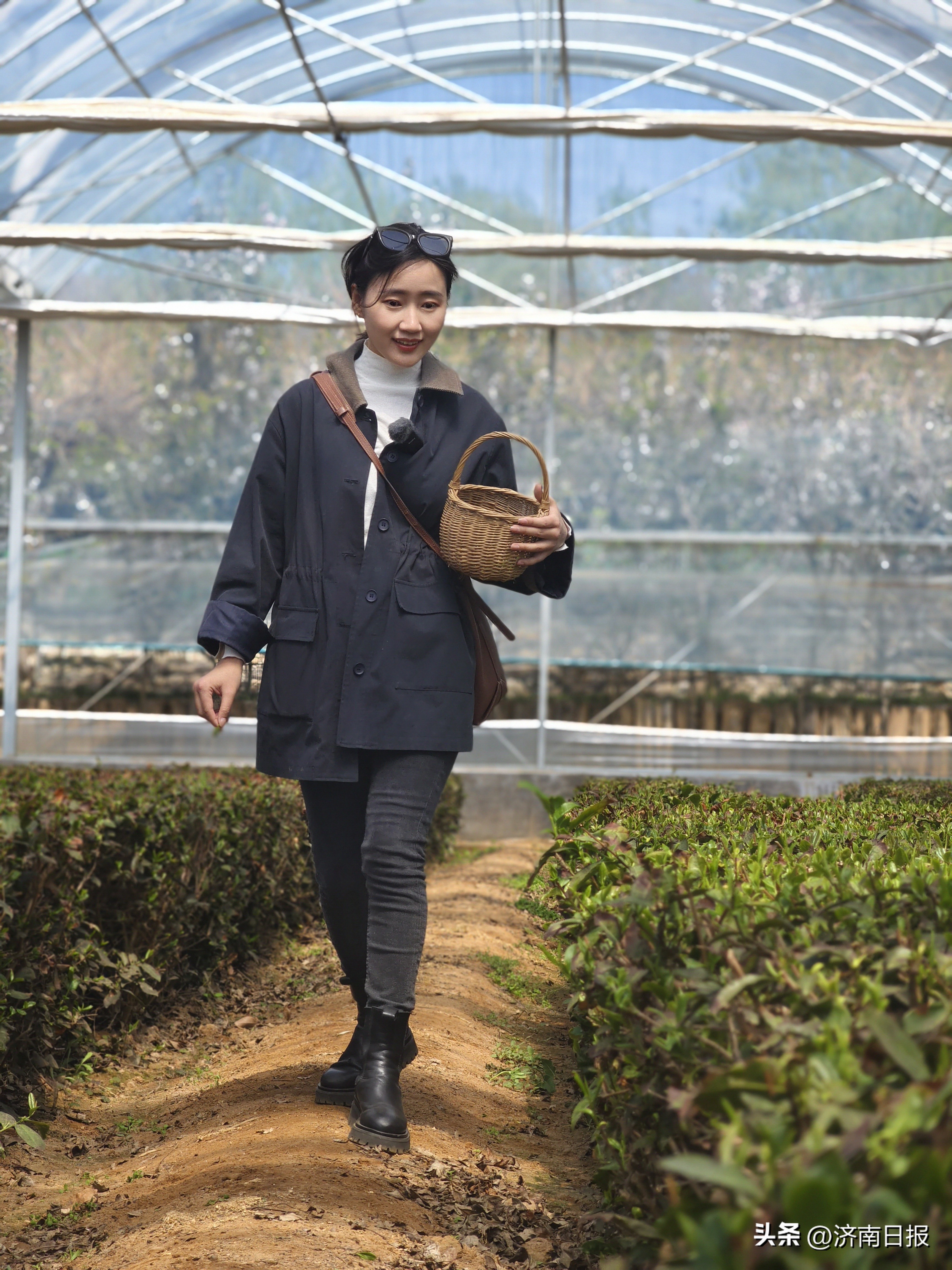 骑遇济南｜春末来这里，亲手采一捧“谷雨茶”