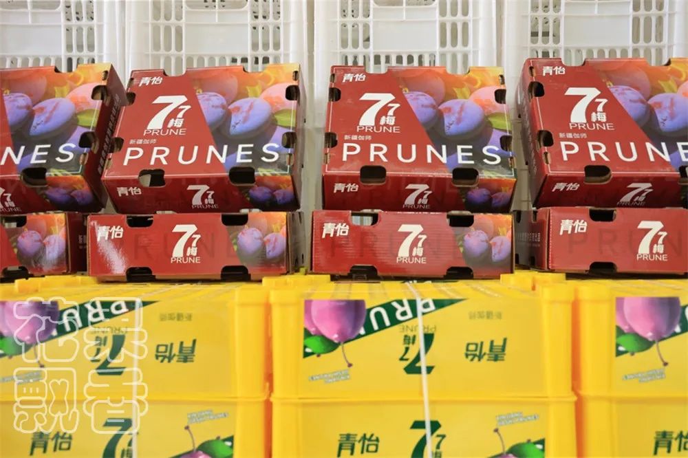 西梅怎么干得比较快呢,关于西梅的知识