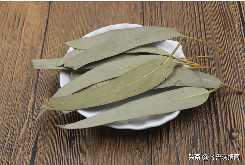 如何除蟑螂最有效的方法,蟑螂怎么消灭最干净彻底的办法