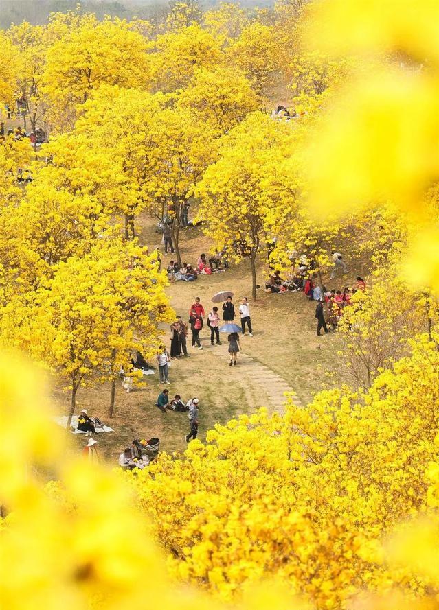 南宁必去十大景点排名,南宁旅游必去十大景点排名最新