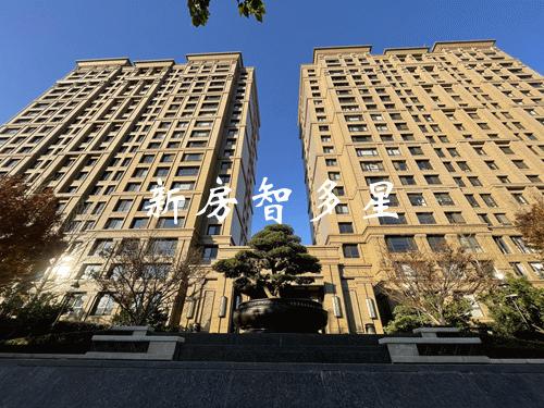 获利千万的黄金坑，还是高位陷阱？