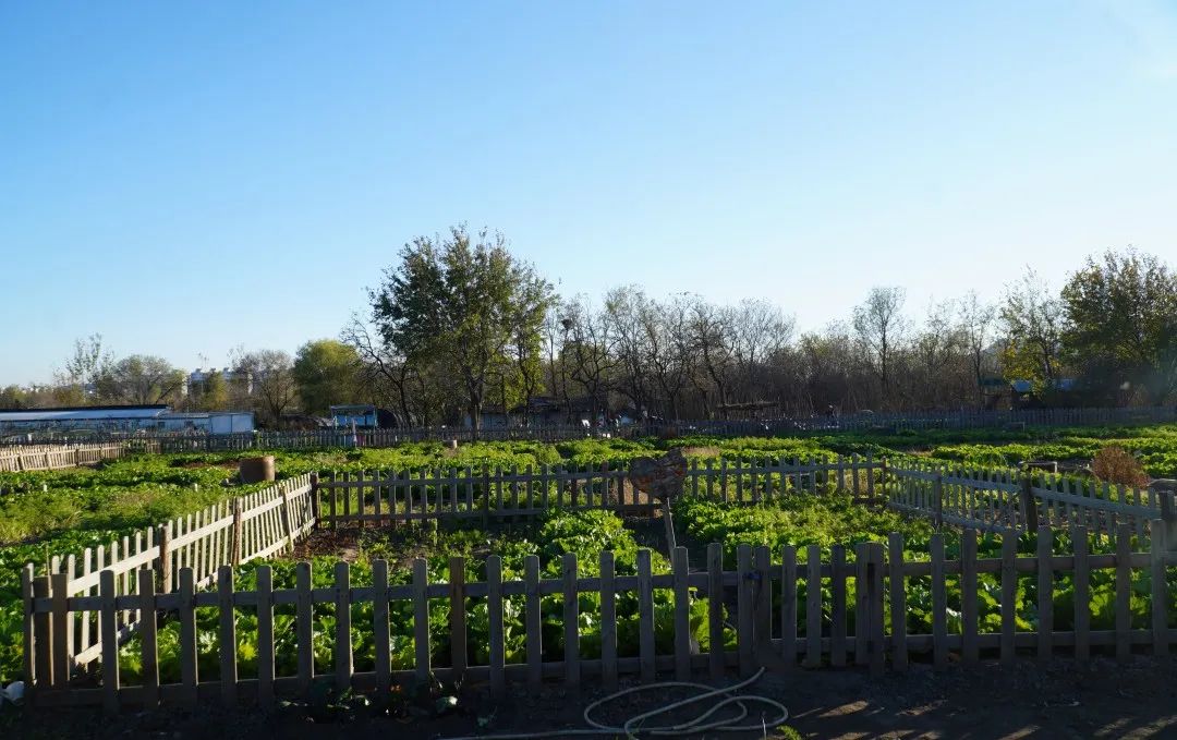 小毛驴农场,小毛驴农业园