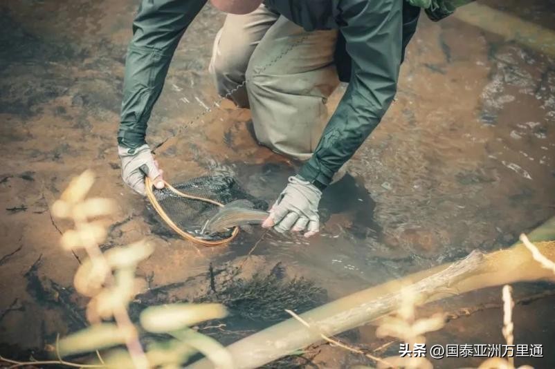 挤牛奶，玩泥巴，当小小科学家，9个暑假亲子游目的地安排～