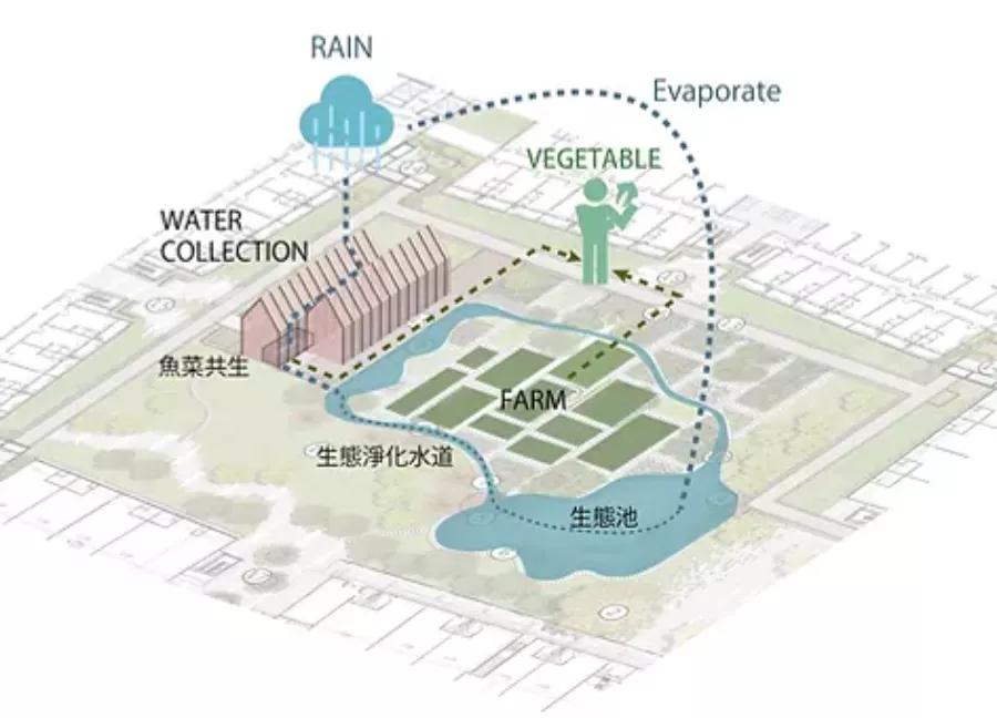 零碳排、零废弃、以租代售的模块化新型小区，还能种菜养鱼