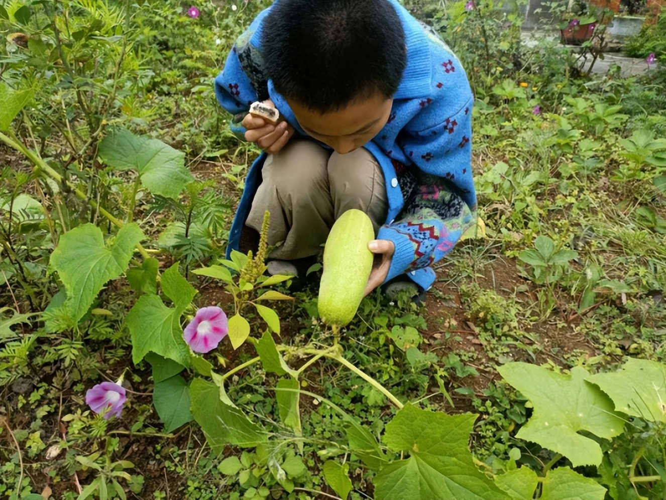 在云南沙溪，年轻人彻底躺平，你们这样让资本家急了
