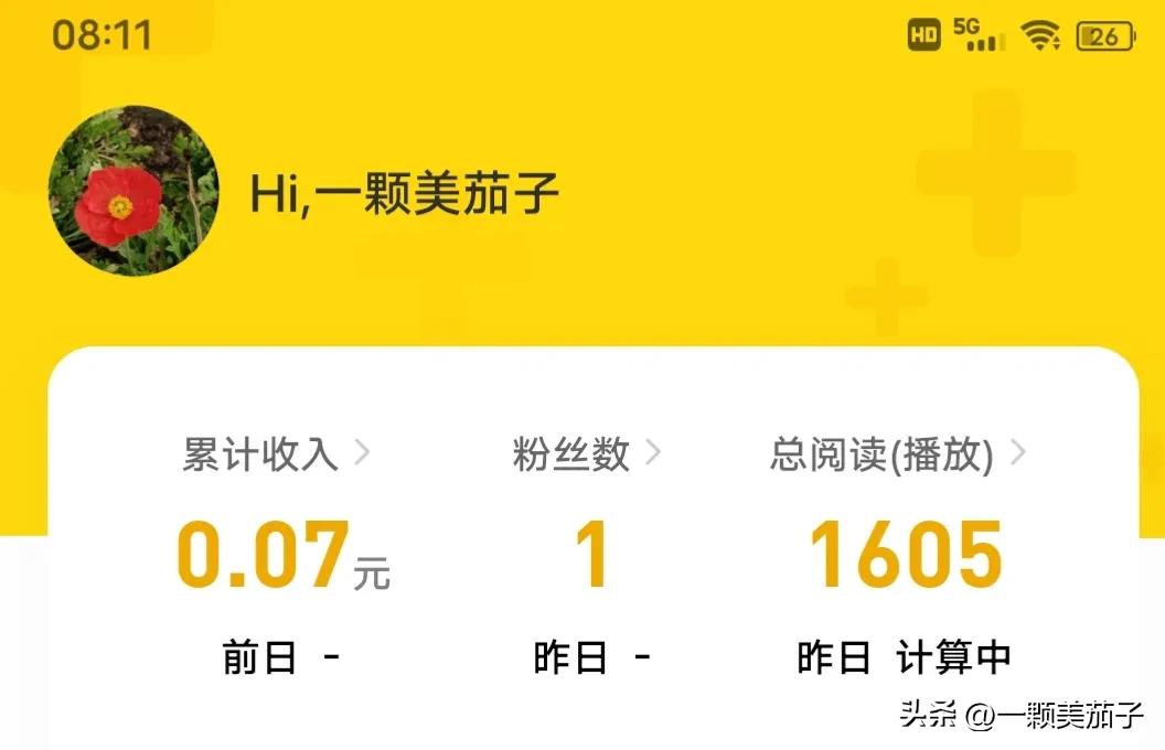 企鹅百家今日头条收益哪个高,头条百家都有收益了吗