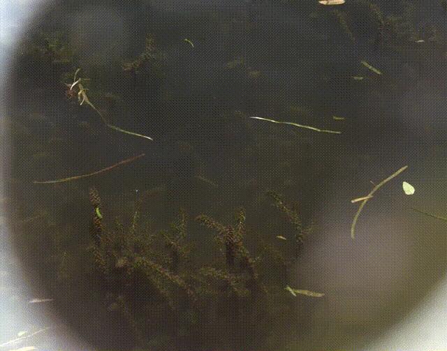 钓鱼用的眼镜是智商税吗,钓鱼眼镜真的能看透东西吗