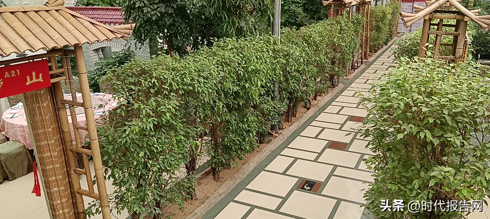 美“食美“客手牵手，你我相聚喜事汇——访新密市喜事汇生态大酒店！