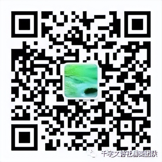 千字文诗社,第591期连天芳草翠，杨花柳絮飞