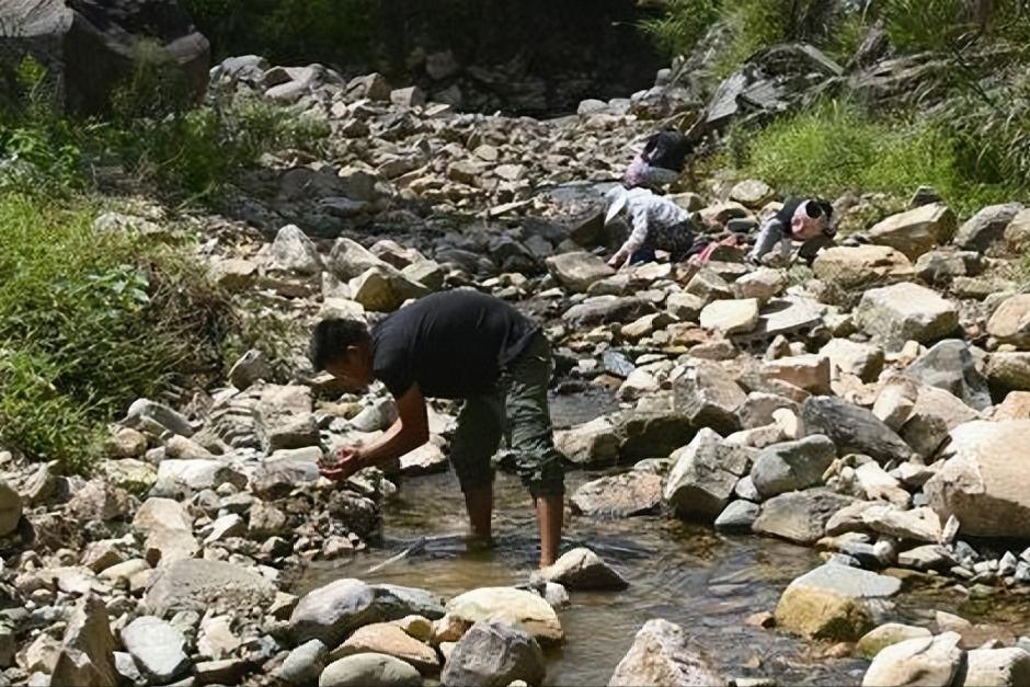 撸铁棒重现民间！给老百姓带来暴利，明令禁止背后隐藏危机