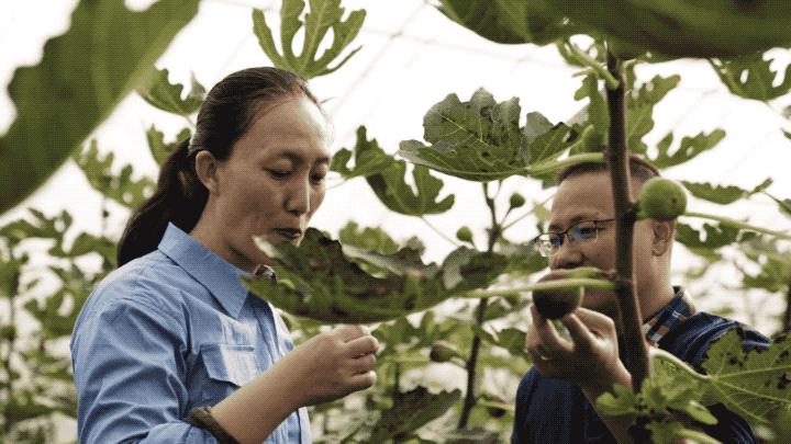“停止内卷，2亿中国年轻人会爆发新的高度”