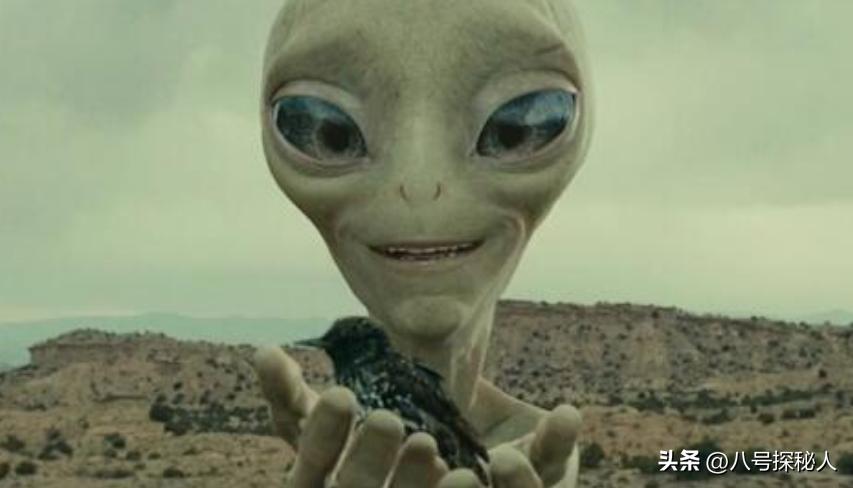 保罗经典喜剧,保罗沃克主演的冒险