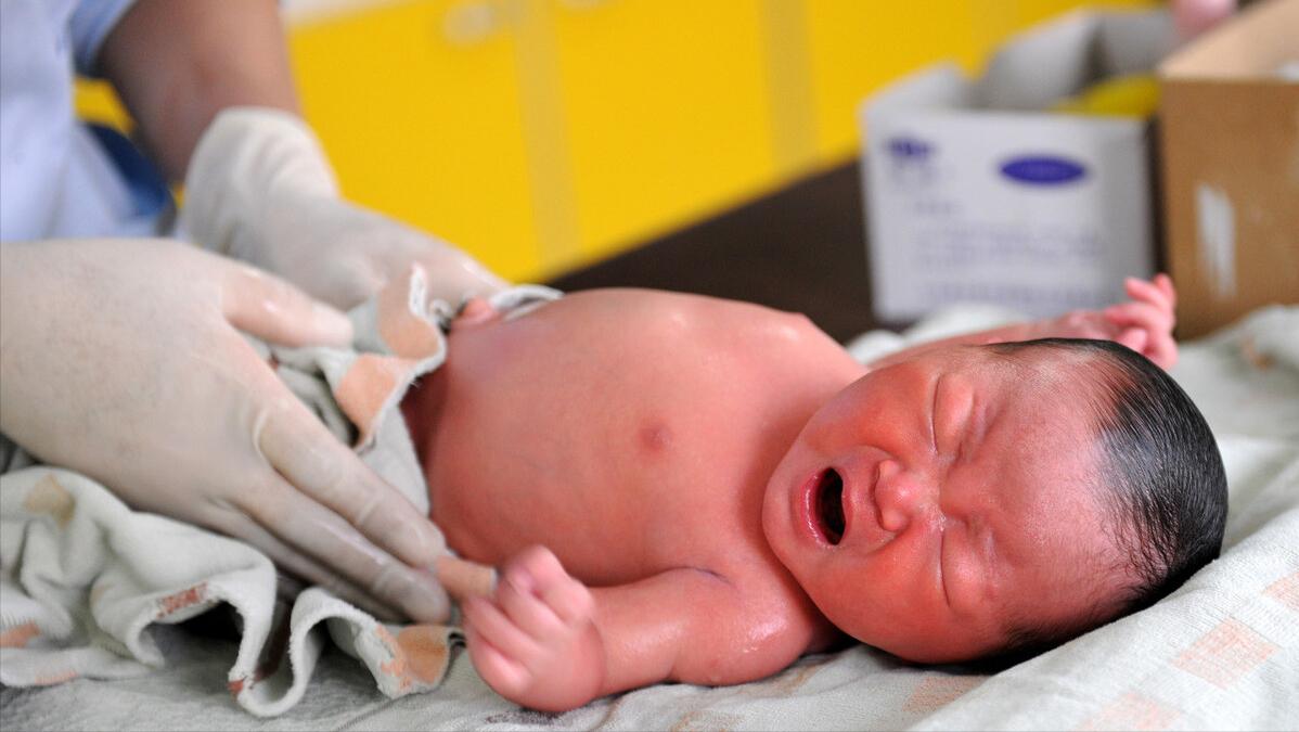 人口负增长后的暴利行业,出生人口下降未来什么行业有前景