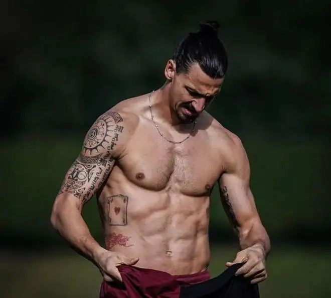 英雄迟暮廉颇老矣足球,足坛十大英雄迟暮