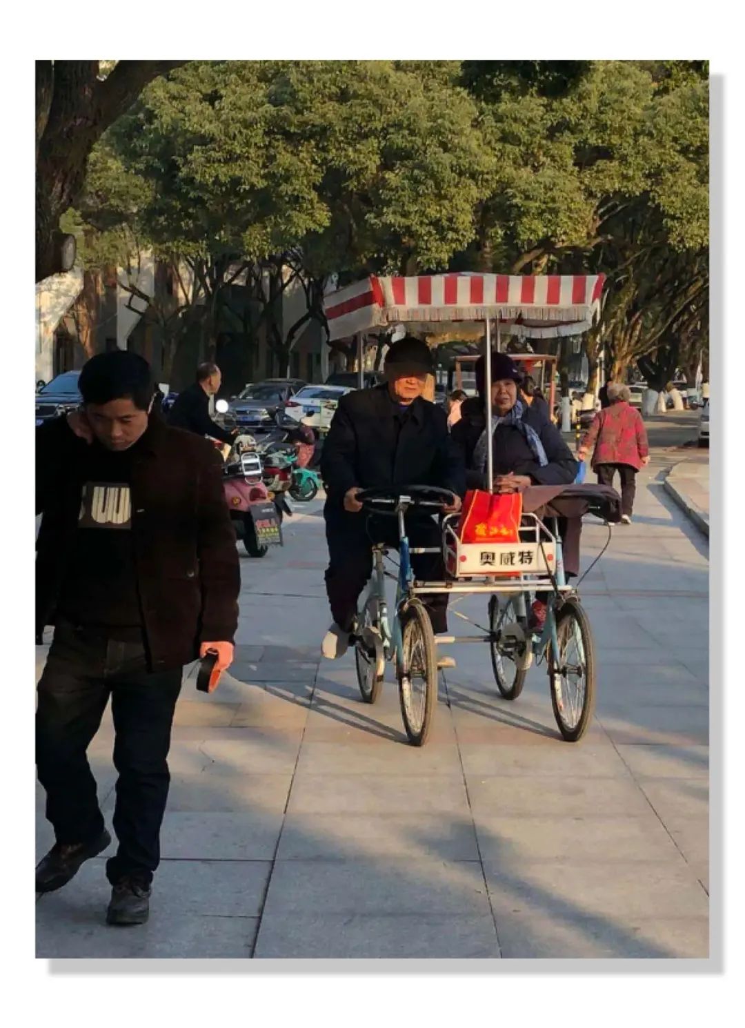 每日休年假,统一休年假