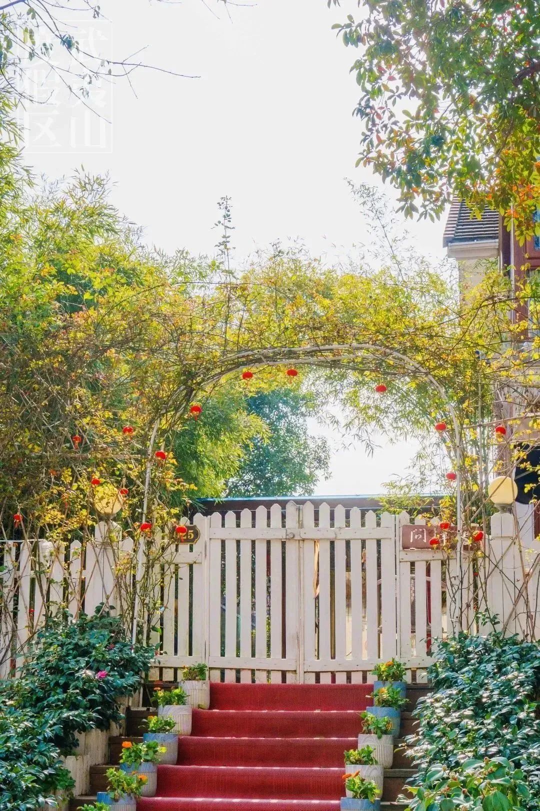 武夷山水庄夜晚,武夷山景区攻略玩水的地方