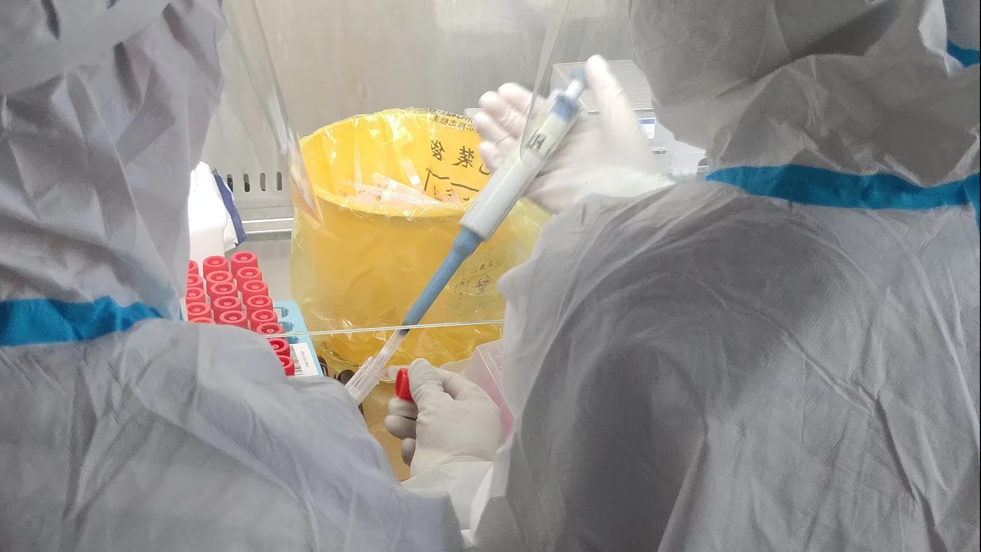 核酸检测共同抗击疫情,核酸检测共战疫情