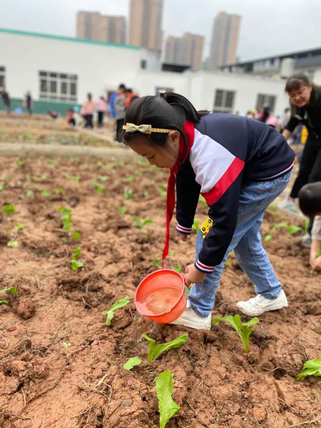 为家乡打call歌曲,为家乡打call