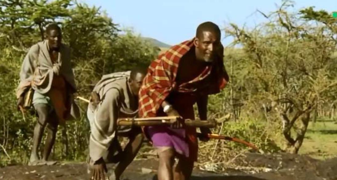 草原之王狮子怕马赛人,狮子怕马赛人还是草原霸主