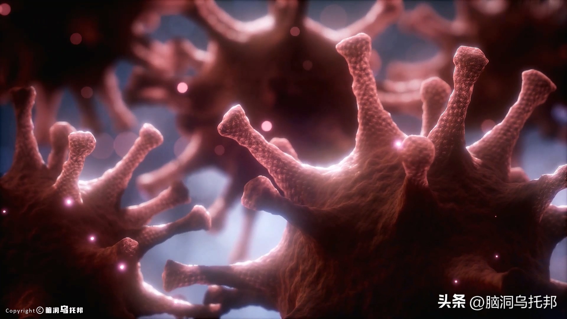 无症状感染是因为体质差吗,为什么有的人感染症状轻