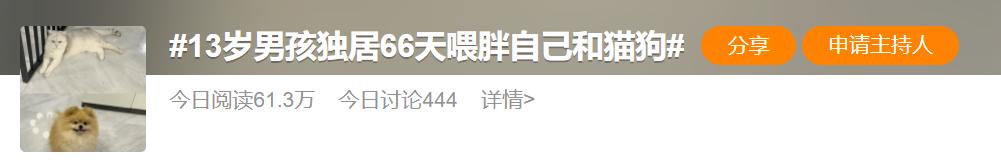12岁男孩独居把猫狗喂胖,男孩独居66天将自己与猫狗养胖