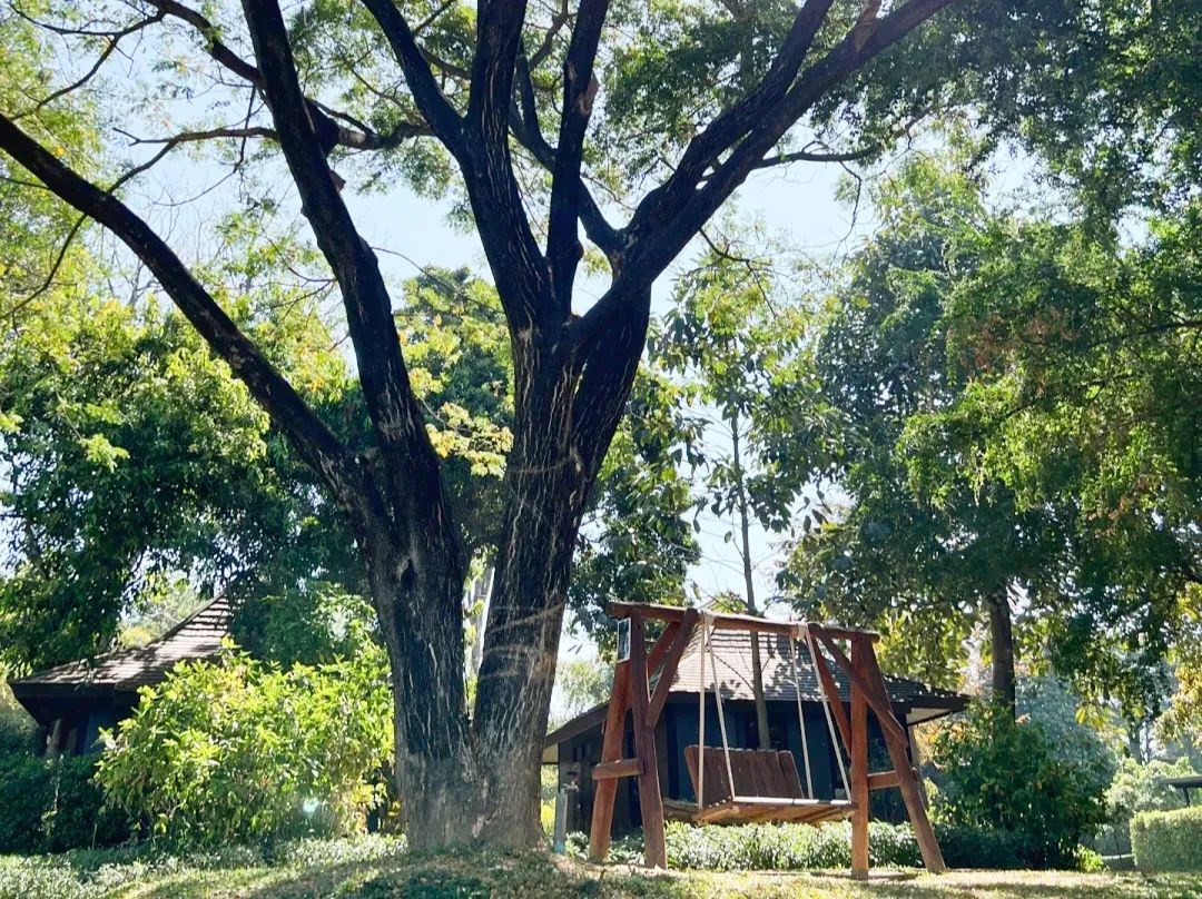 泰国穷游最便宜的机票,泰国旅游机票便宜到10元