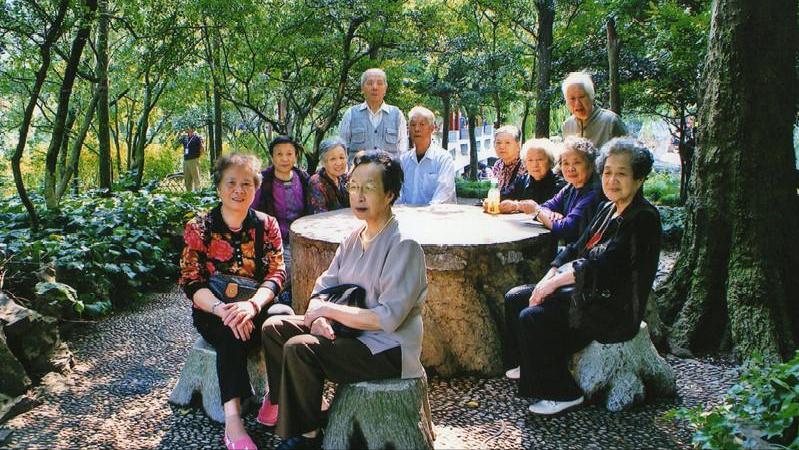 老年人免费旅行团有哪些,年轻人加入老年旅游团真的好