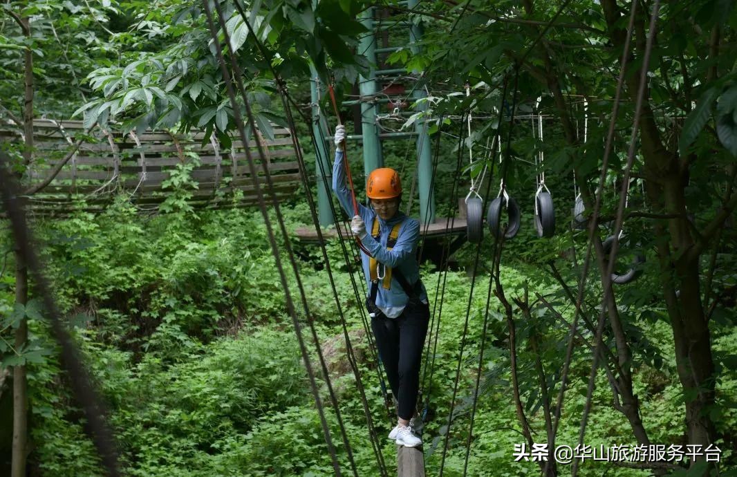 这段时间游华山免门票,华山旅游景点免门票怎么预约的