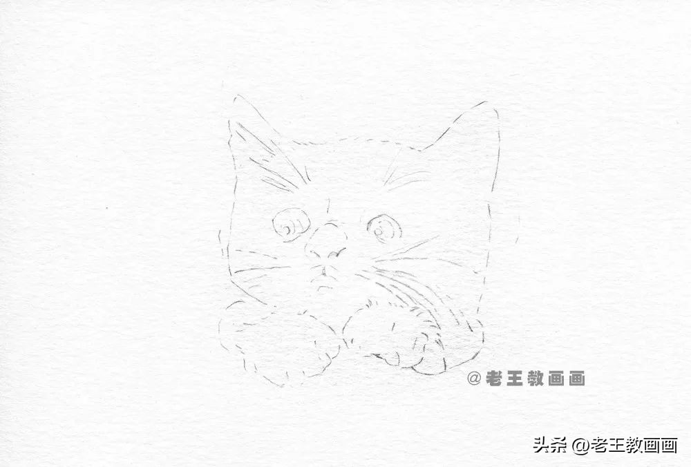 彩铅基础教程，教你画一只小黑猫咪