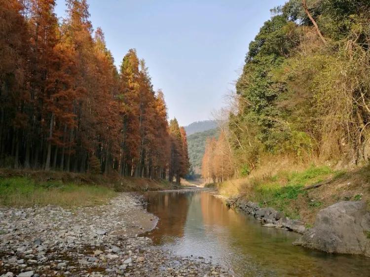 绍兴适合小朋友旅游的景点,绍兴旅游必去十大景点旅游攻略