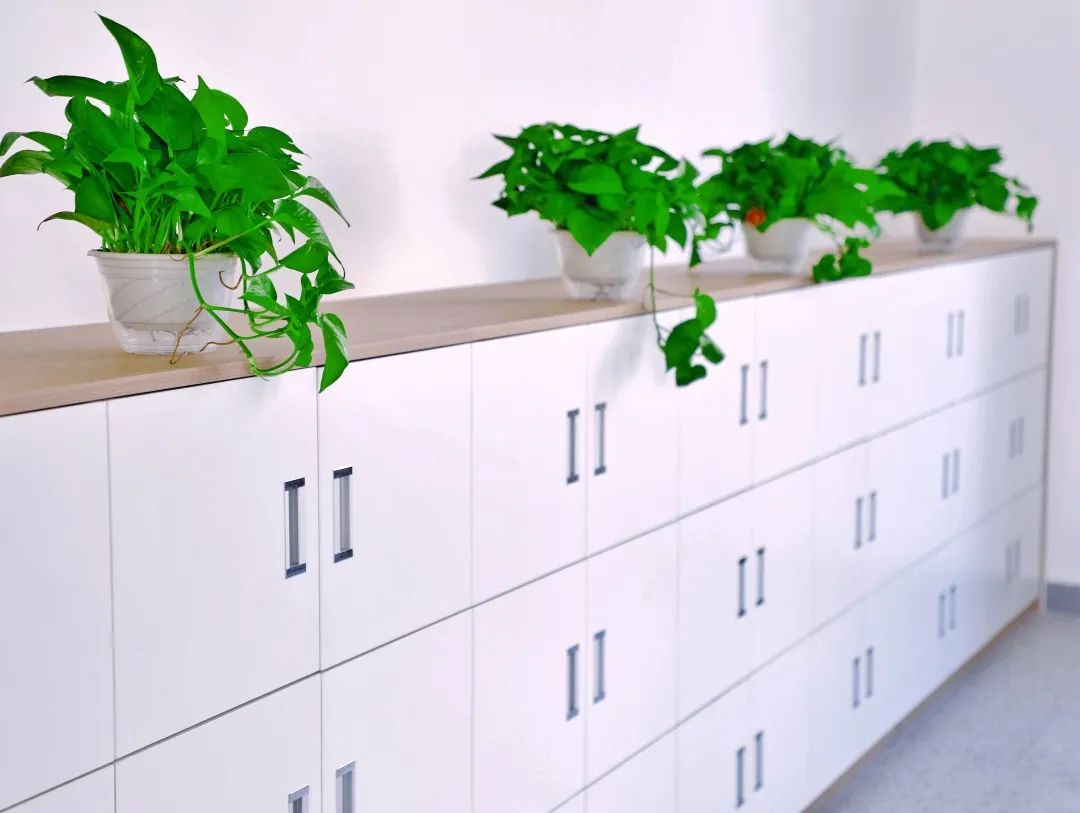 新津石笋街小学是挂名还是分校,石笋街小学新津分校待遇怎么样