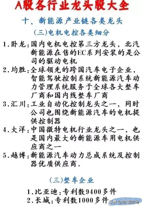 最新行业龙头股票一览表,最新行业龙头股附表