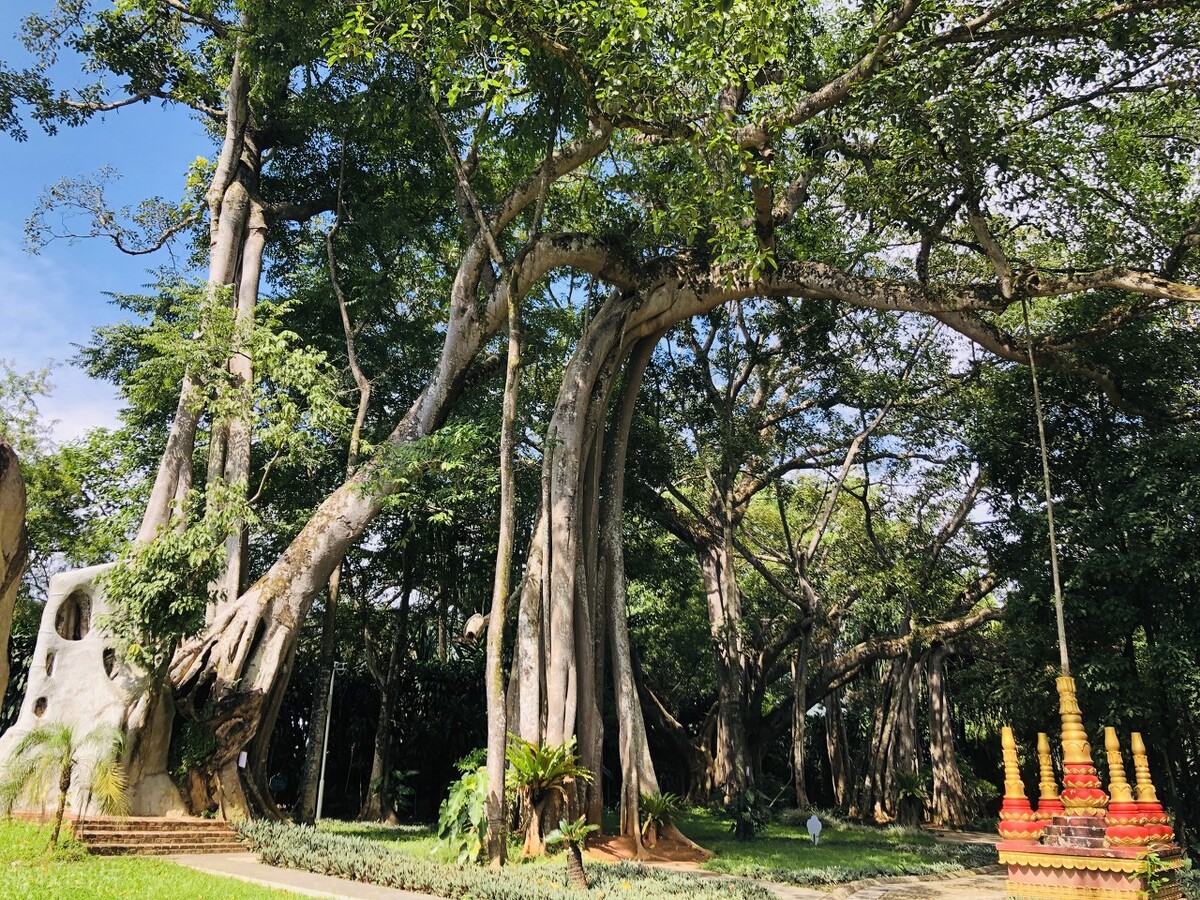 云南除了西双版纳哪里还适合过冬,西双版纳景洪避寒的地方