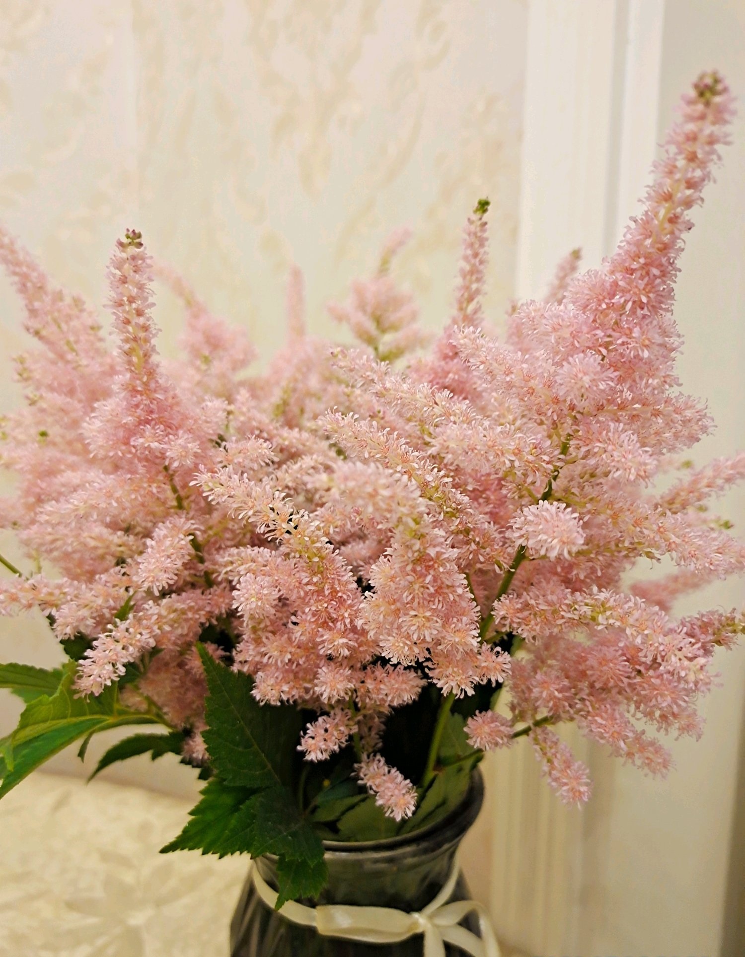 落新妇花卉开花好看吗,容易养殖的素雅花卉图片及名称