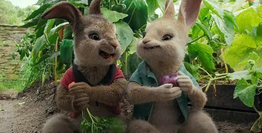 比得兔的故事书适合多大孩子看,比得兔儿童文学