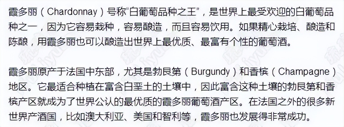 葡萄酒基础知识教程电子版,葡萄酒器具大全