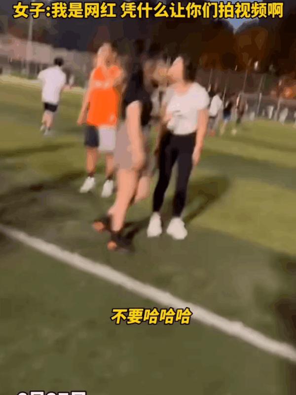 女子在球场大骂球员,美女当众怒怼小伙