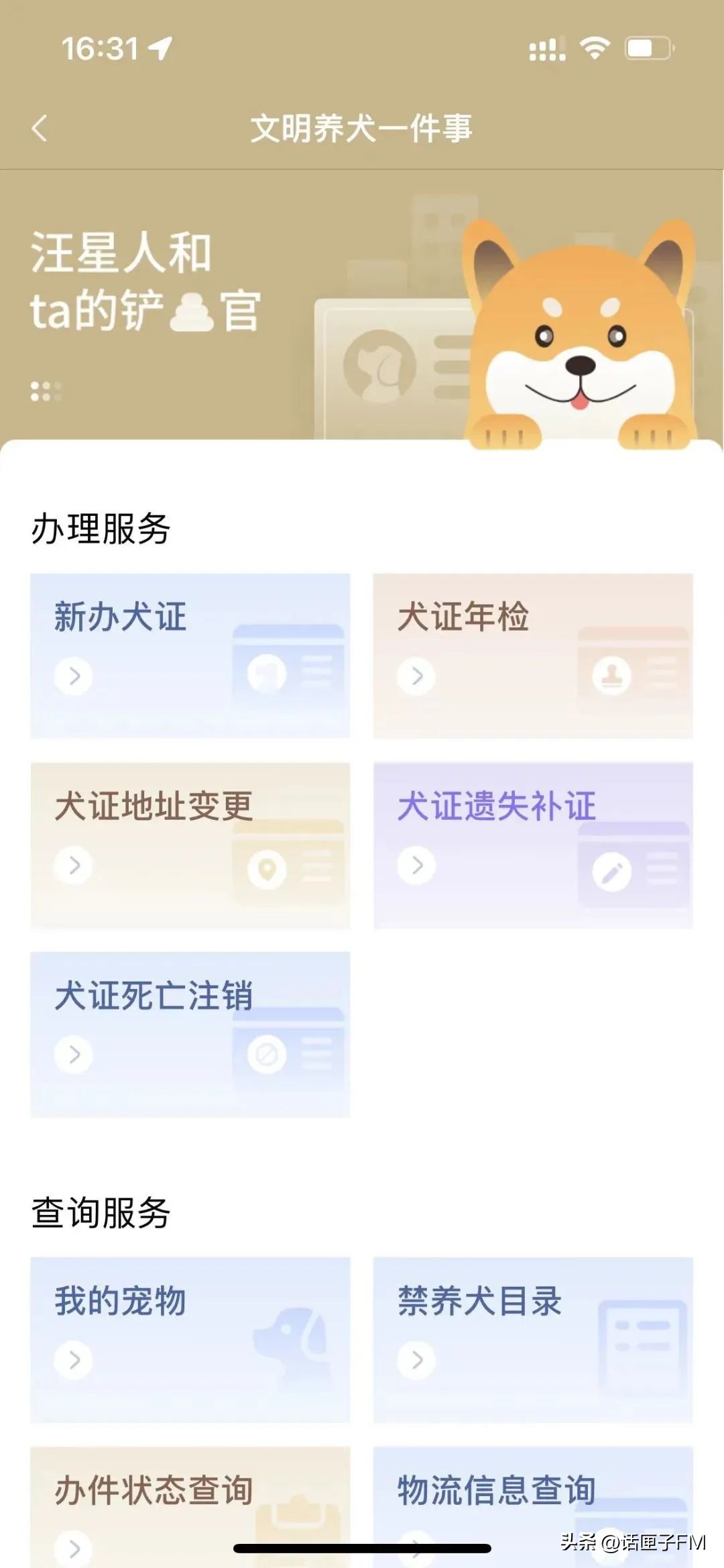 宠物走丢了有救助办法吗,宠物在宠物店走丢怎么办