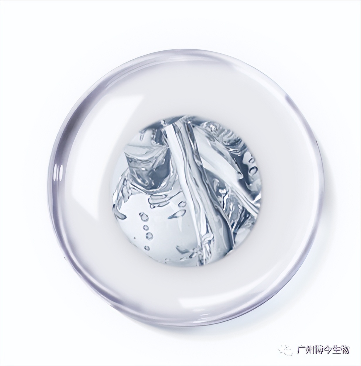 大数据请把这篇文章推给有“黑头”烦恼的人