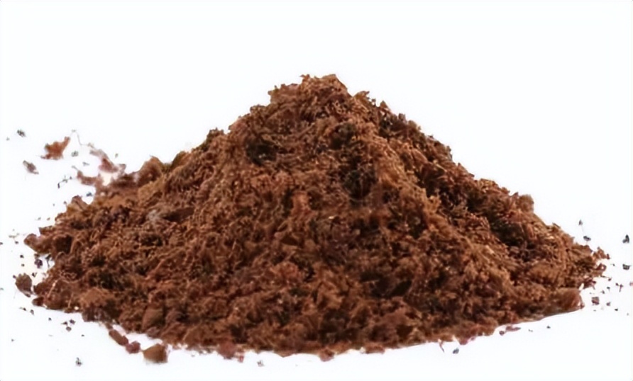 1992年,河北男子花30万买两只病鼠,几年后反而大赚8000万