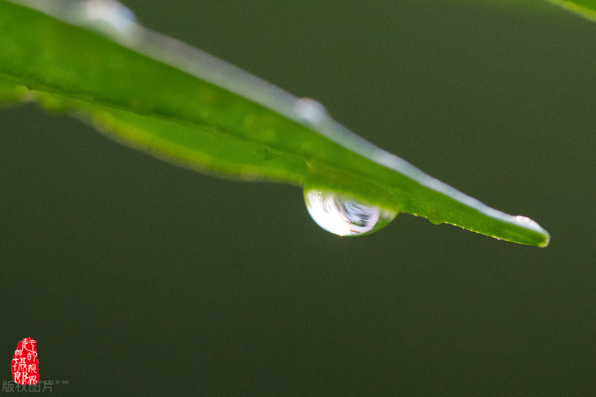 想要成就自己，做到这三样离成功不远了！