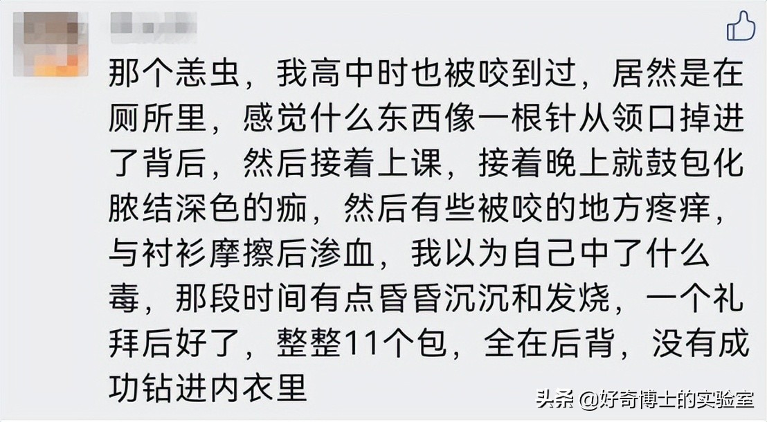 恙虫咬人后会不会钻进人的身体里,恙虫是什么虫咬人了会怎么样