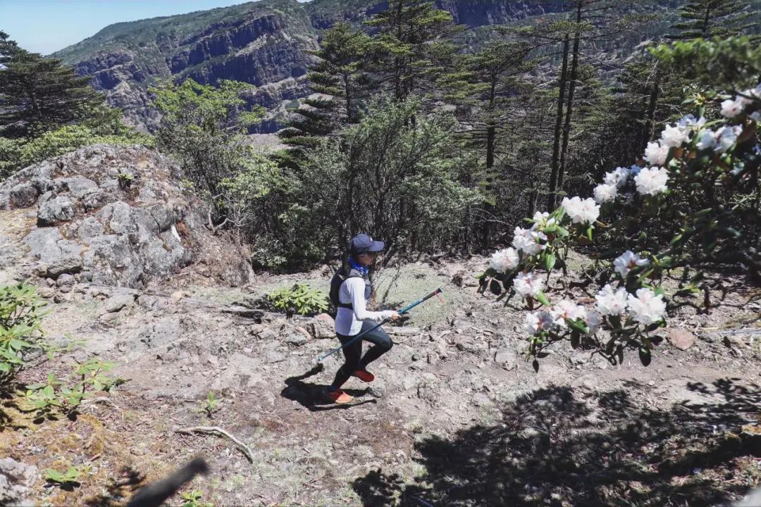 2020战马挑战赛,2024轿子山越野赛成绩