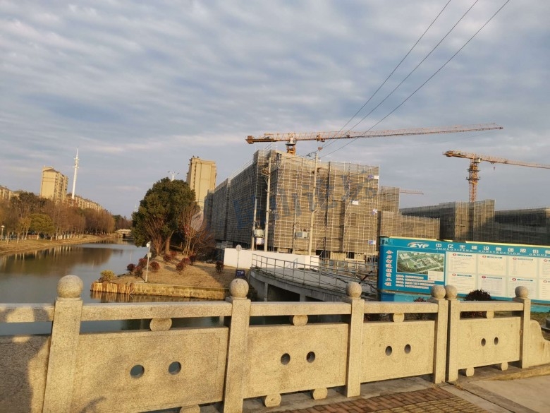 春风又绿江南岸原片,春风又绿江南岸张蓓蓓