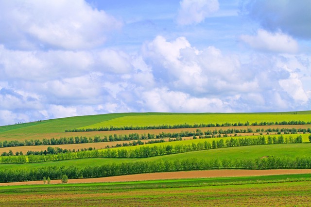 做人做事不要心急,做人不要太心急