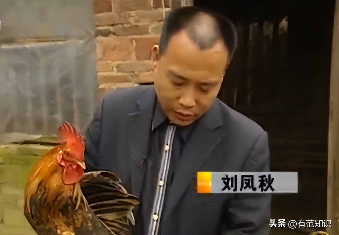 湖南小伙5000亩地养10只鸡,湖南小伙5000亩地只养十只鸡