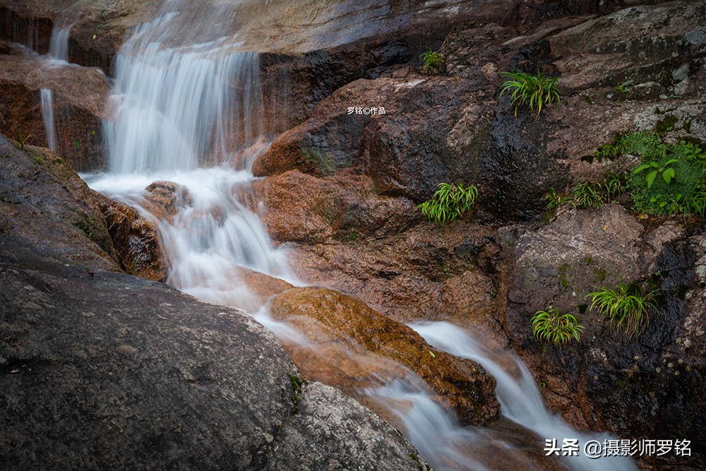 永州之野田园综合体,永州之野农产品