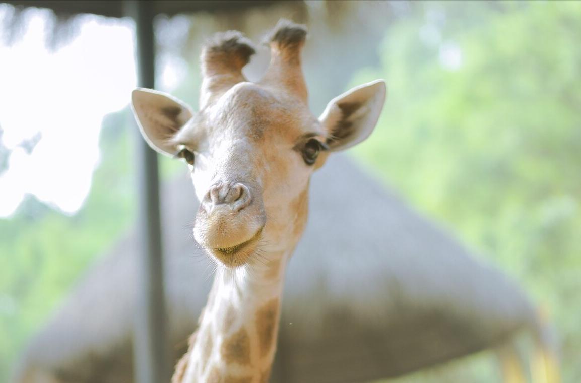 广州寄存行李去哪里玩,广州哪里可以免费寄存行李